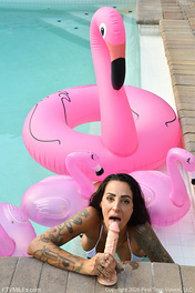 Presley Milf Brunette Big Tits photo 08 FTV MILFs gallery